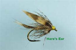Gold Ribbed Hares Ear
